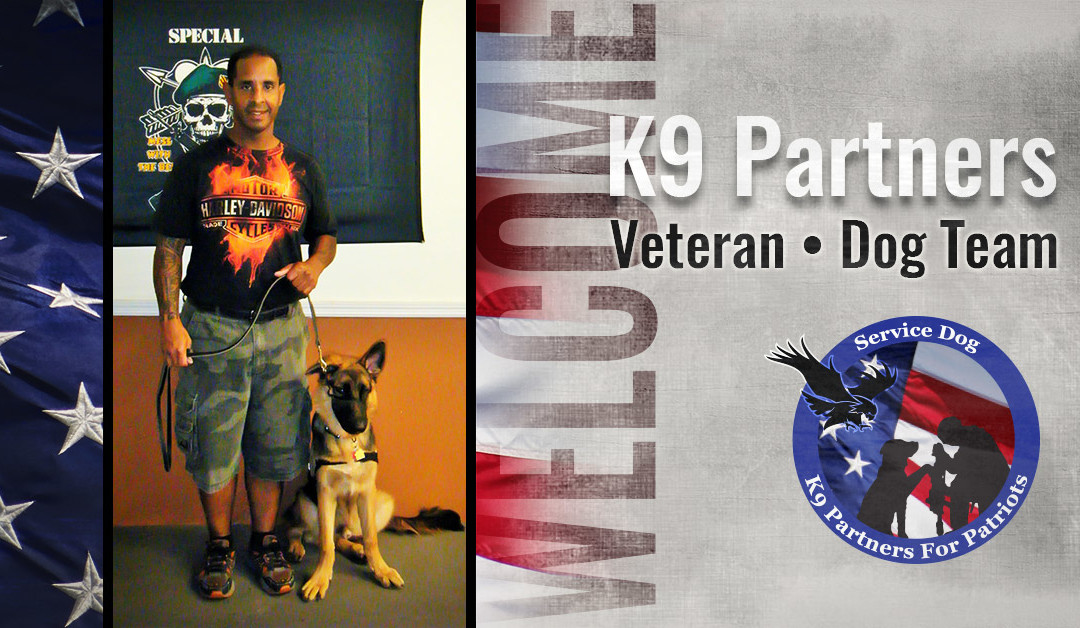 New Service Dog Team – Frankie, U.S. Army Veteran K9 Harley