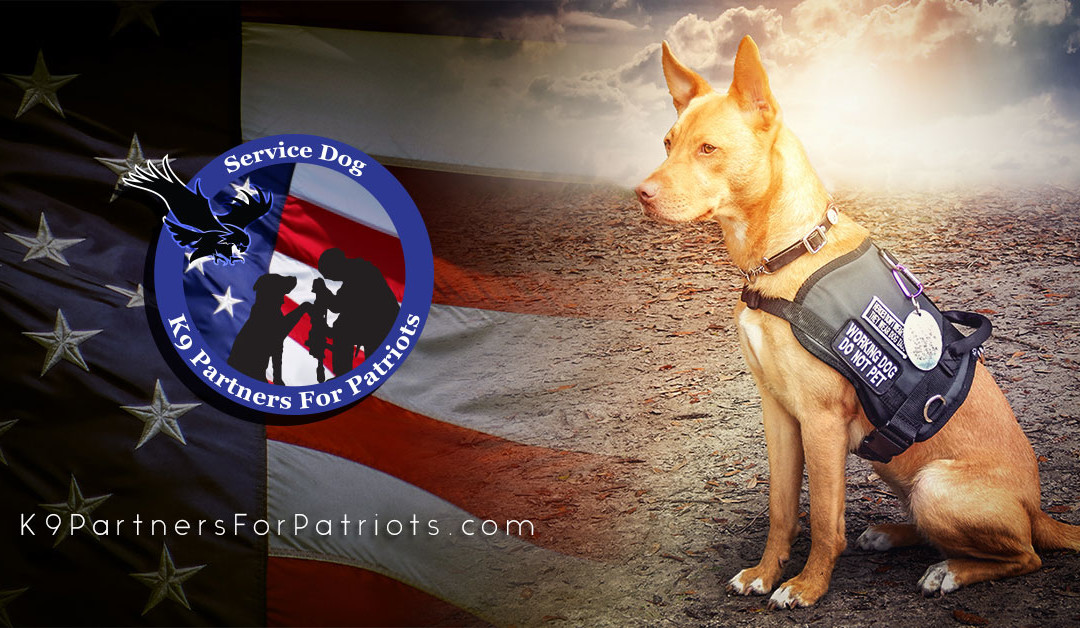 Department of Defense Grant Awarded to K9 Partners for Patriots