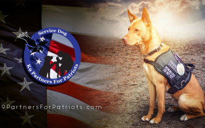 Department of Defense Grant Awarded to K9 Partners for Patriots