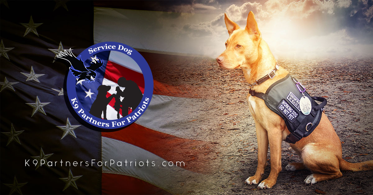 Department of Defense Grant Awarded to K9 Partners for Patriots
