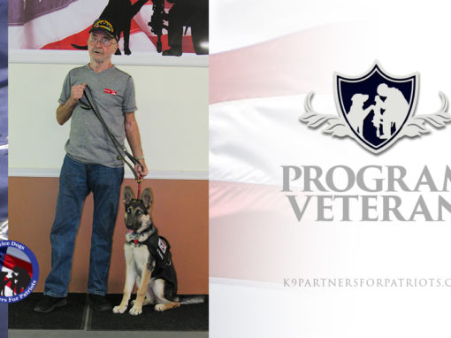 USMC Veteran Gary and K9 Crystal – Service Dog Team