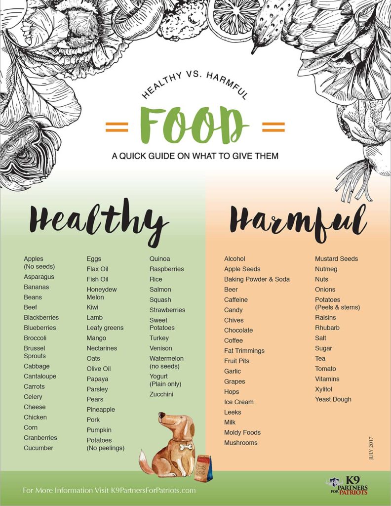 Healthy vs Harmful Food & Treats for Your Dog Service