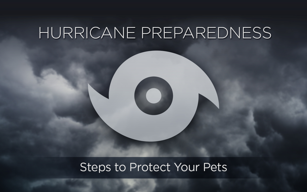 Hurricane Preparedness - Steps to Protect Your Pets