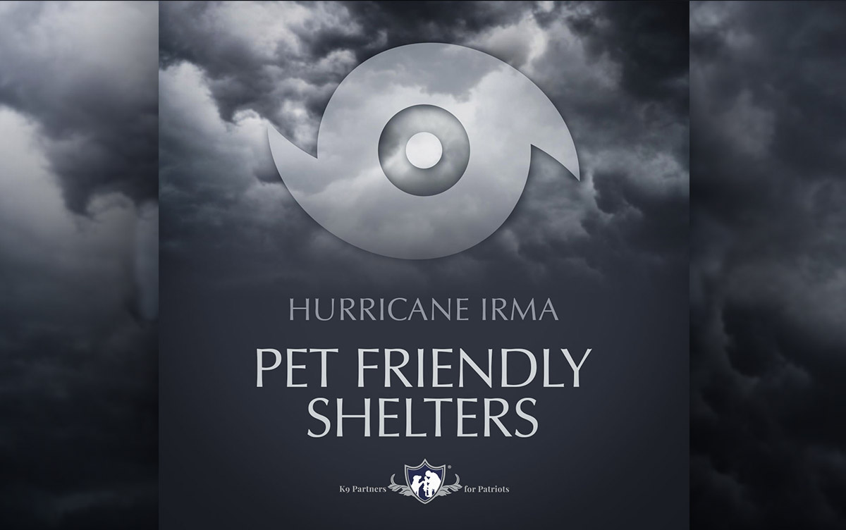 Pet Friendly Shelters