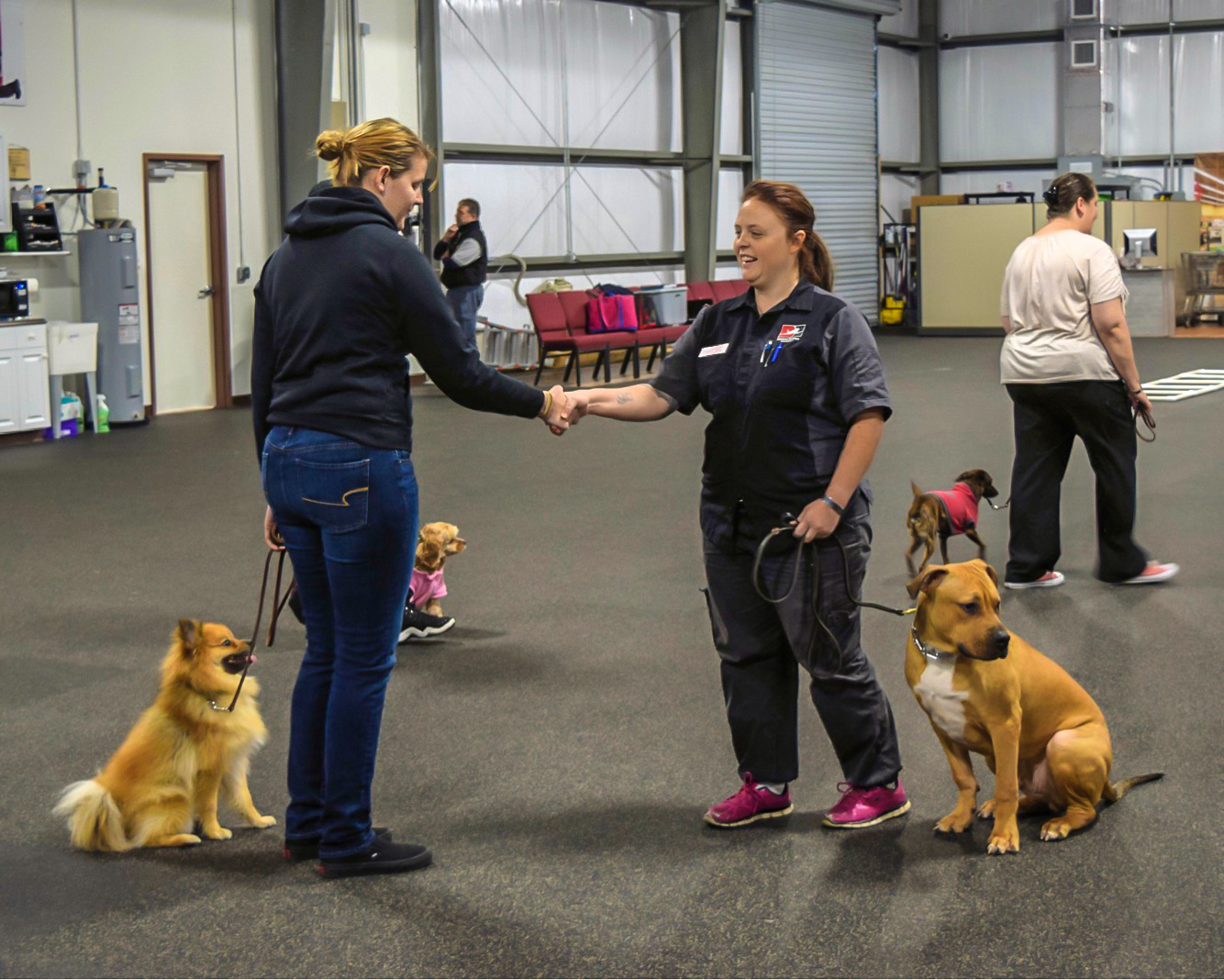 local dog trainer