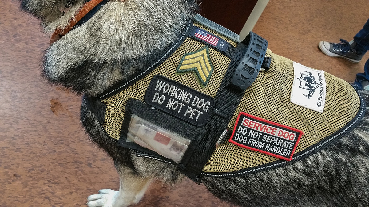 psychiatric service dog vest