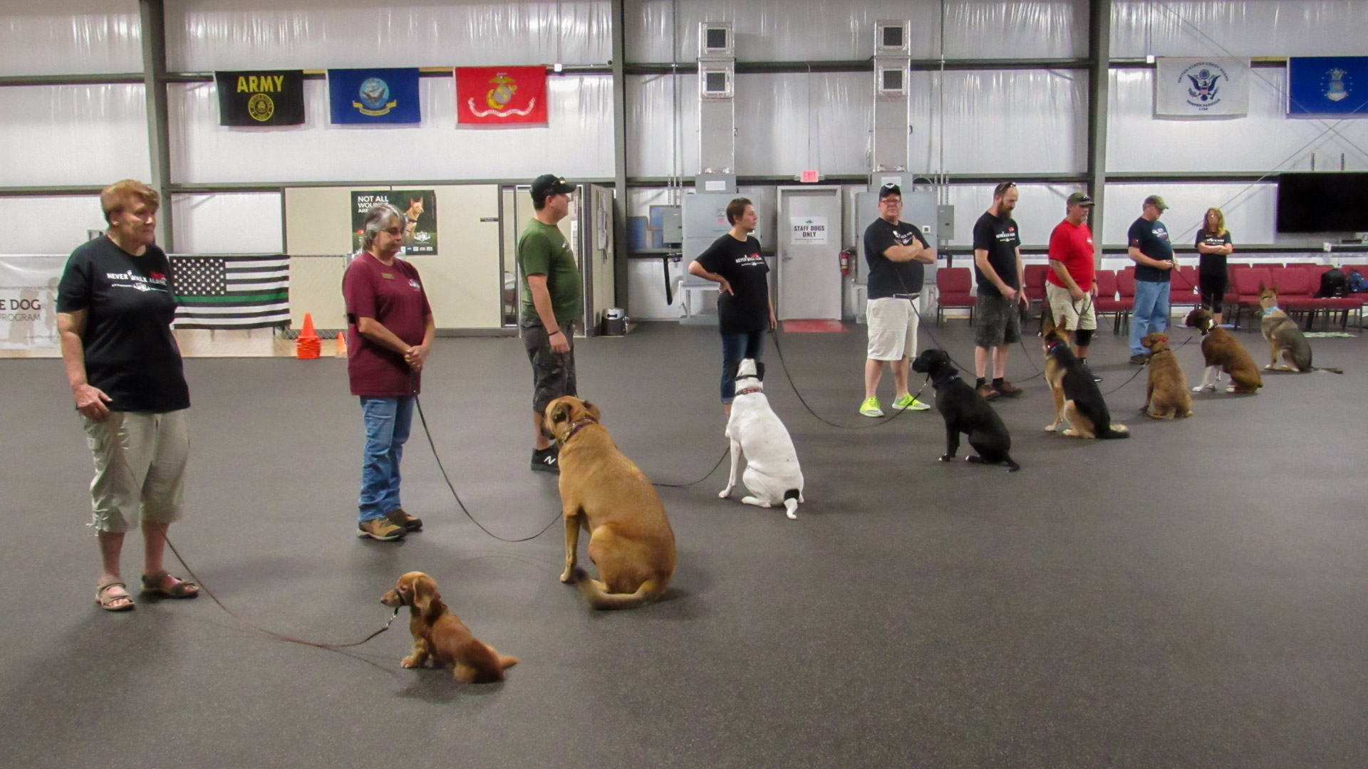 Ptsd Service Dog Training For Military Veterans K9 Partners For Patriots