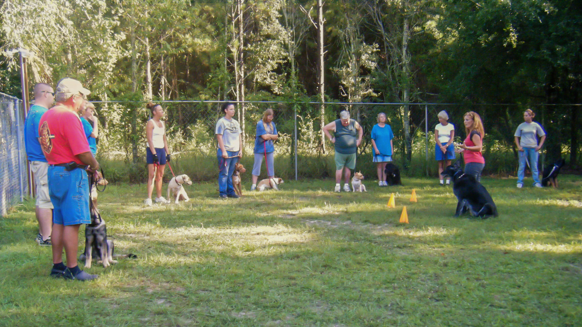 Stillwater Dog Training