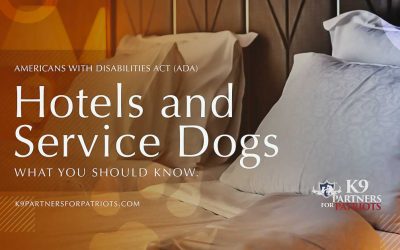 Do Hotels Have to Accommodate Service Dogs?