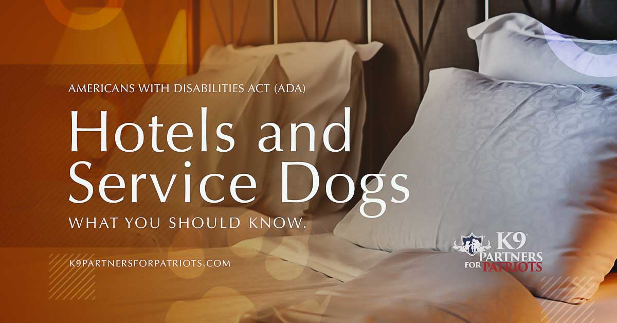Hotels and Service Dogs