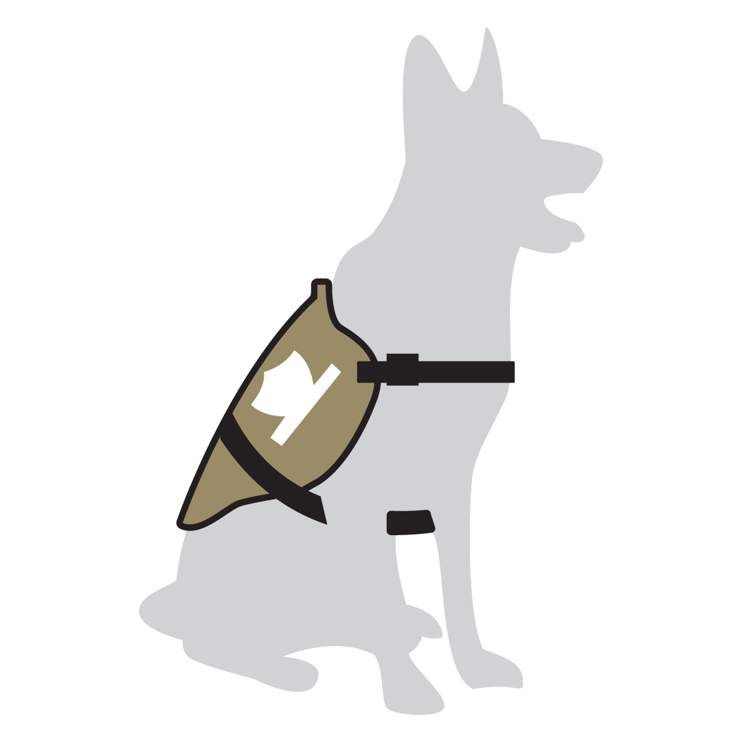 Service Dog in Vest