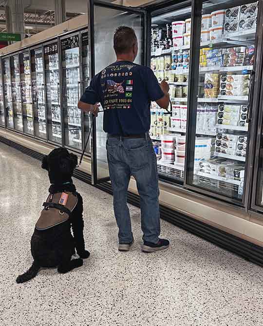 can a service dog live with another dog