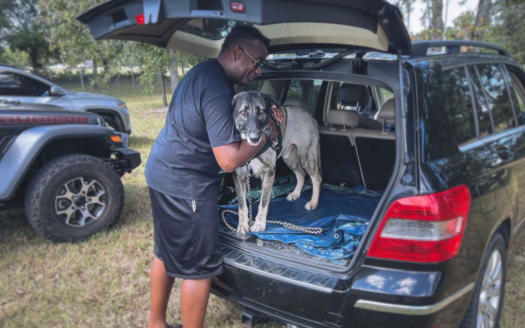 Service Dog, Emotional Support Dog, Therapy Dog What’s the Difference?