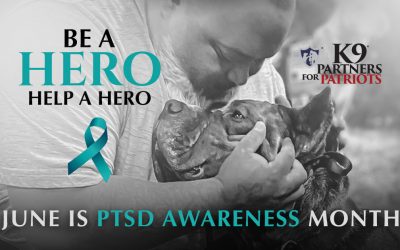 National PTSD Awareness Month Recognizing Resources