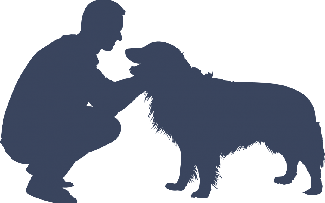 Is A Service Dog Right for You?