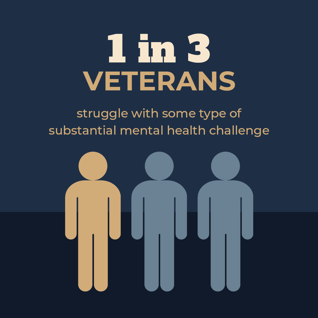 1 in 3 Veterans struggle with mental health challenges.