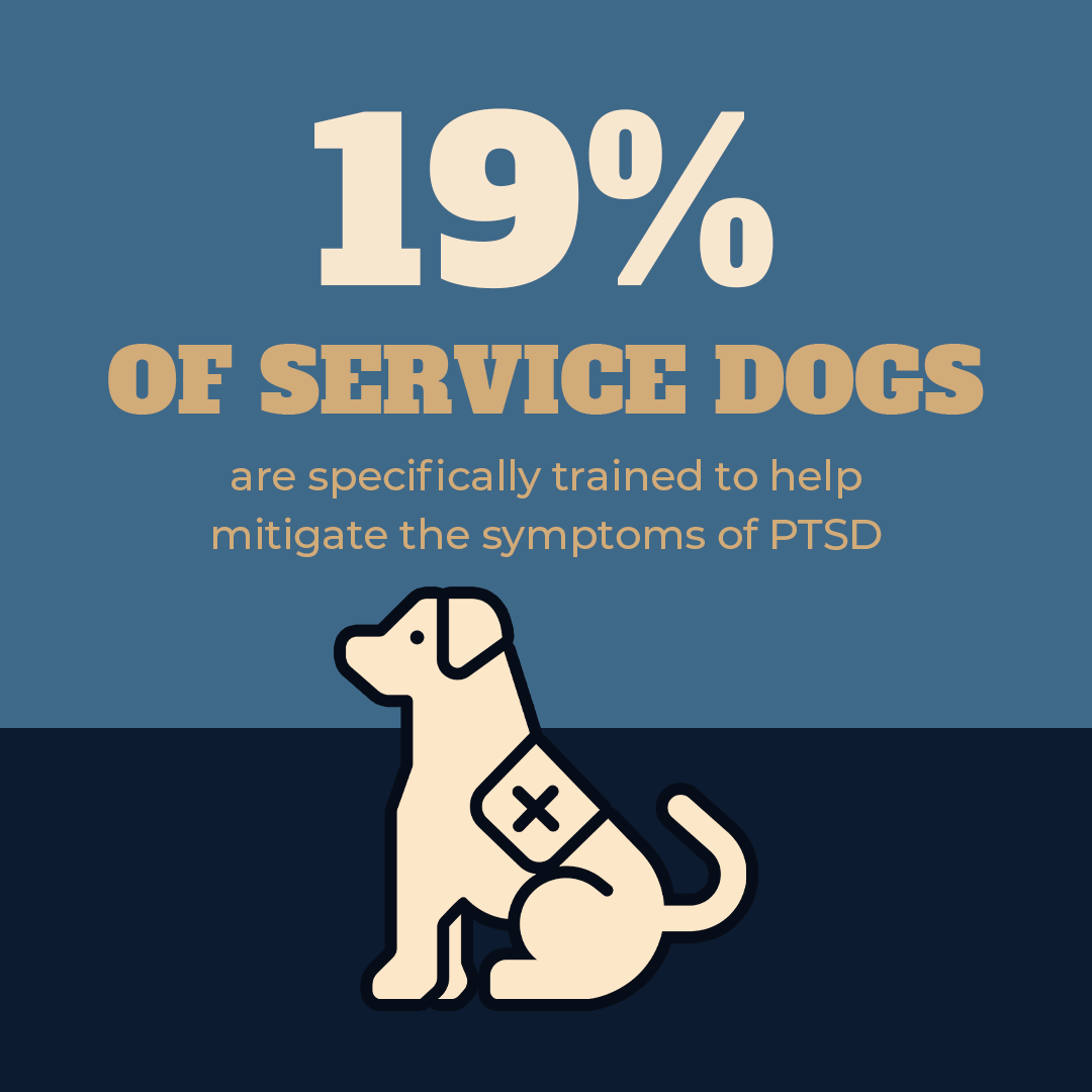 19% of Service Dogs are trained to help with PTSD.