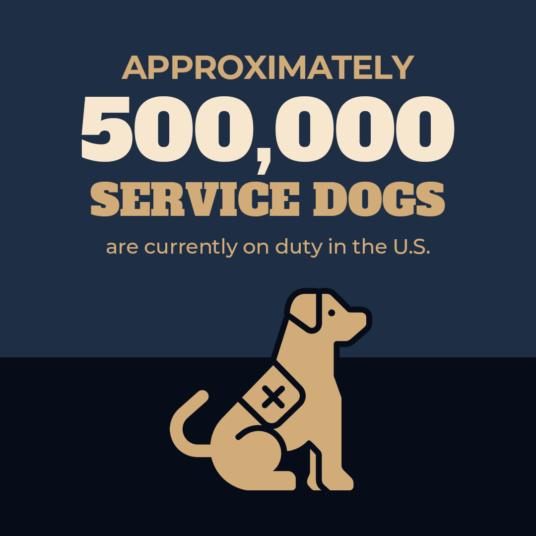 Approximately 500,000 Service Dogs on Duty in the US.