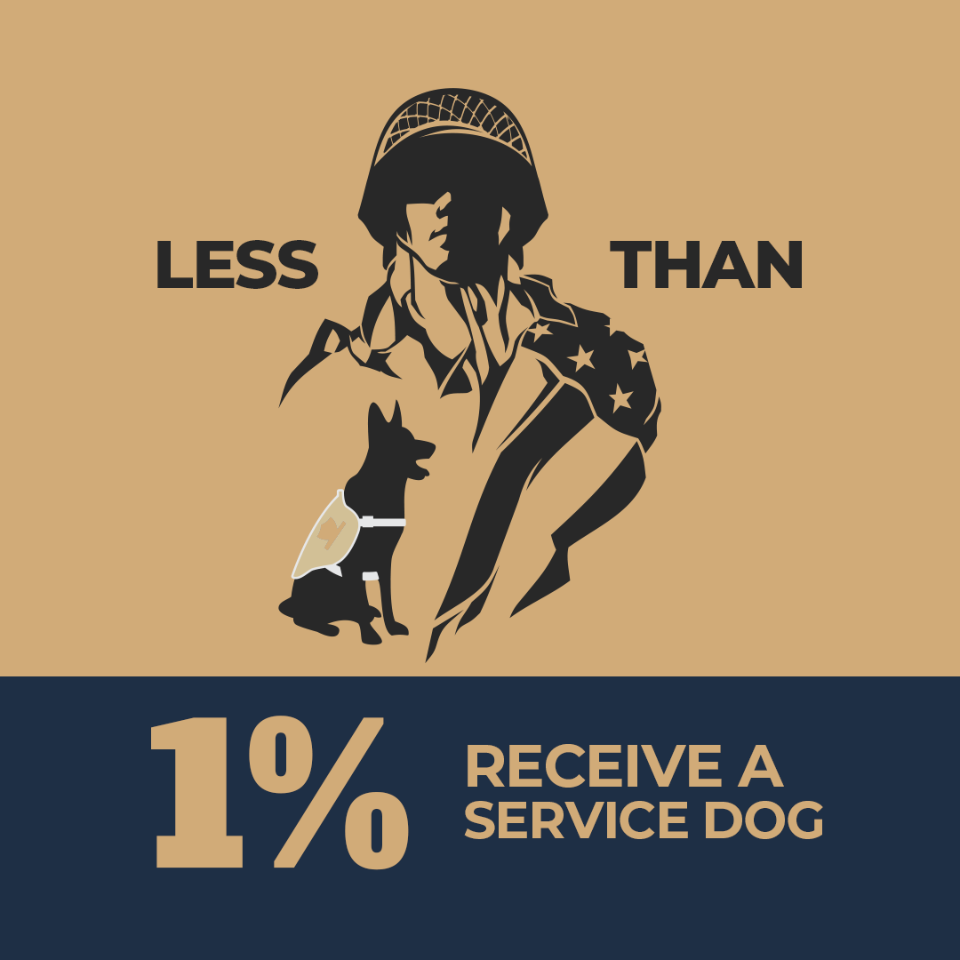 Less than 1% receive a service dog