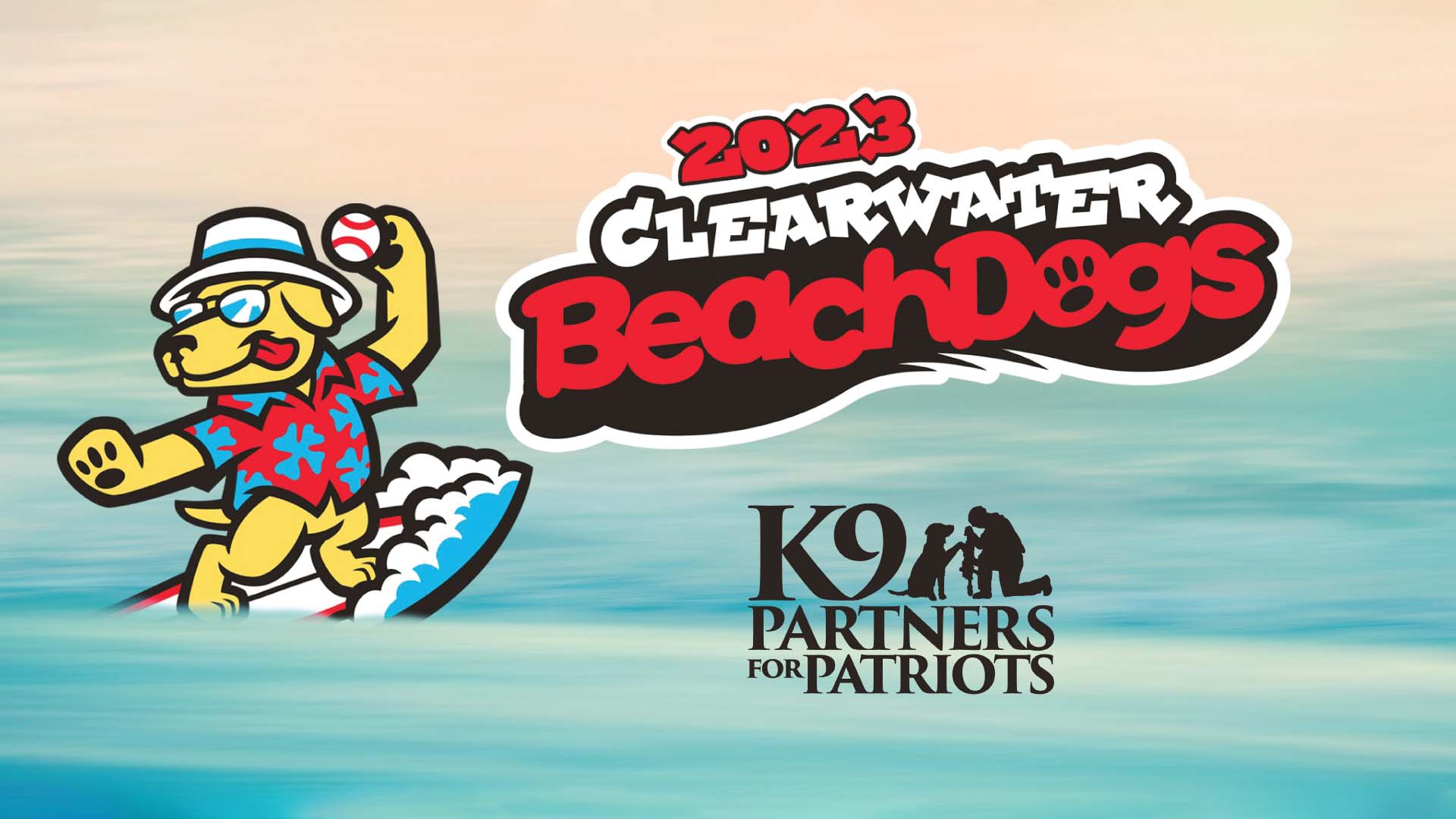 Clearwater Beach Dogs