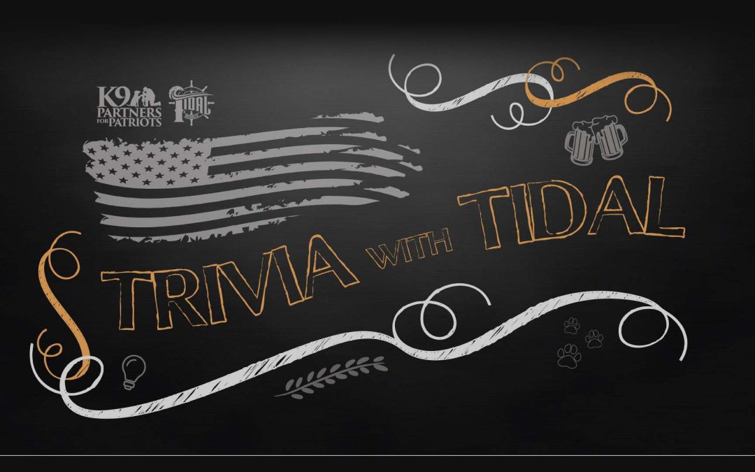 Trivia with Tidal Brewing