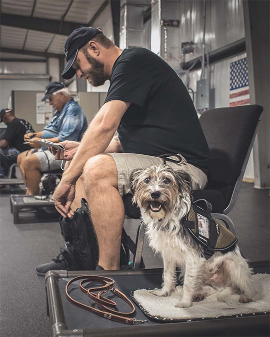 Veteran and Service Dog Gearing Up for Training