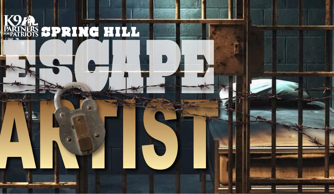 Escape for K9 Patriots