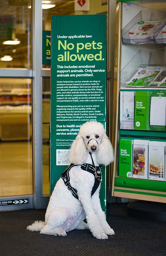 Publix's Policy Only Service Dogs in Their Stores