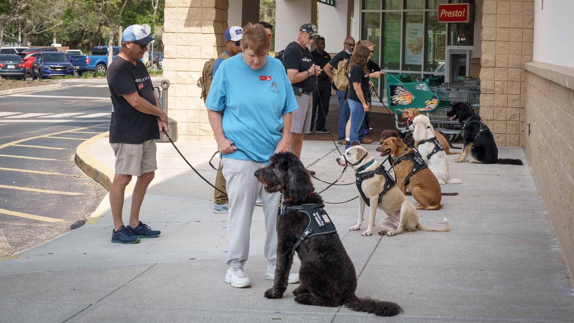 Publix's Policy Welcoming Only Service Dogs