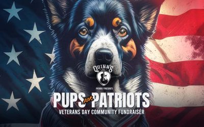 Pups for Patriots: Veterans Day Fundraiser for Service Dogs
