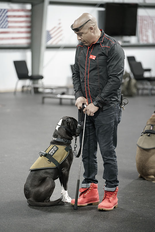 Veteran and Service Dog