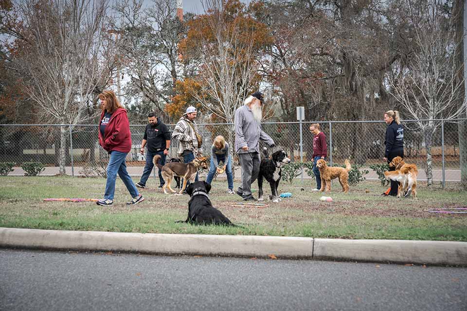 PTSD Service Dogs Urban Training