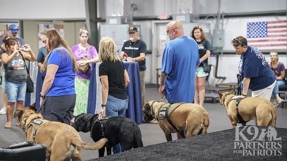 Service Dog Demonstration