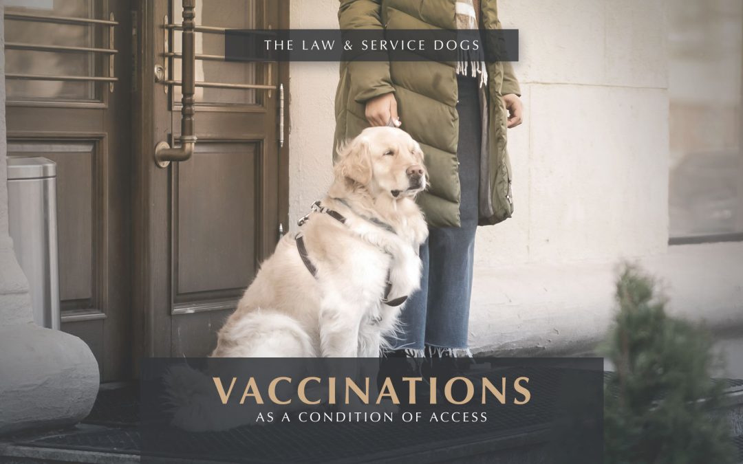 Service Animal Vaccinations and ADA Access – What You Need to Know