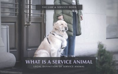 What is a Service Animal?