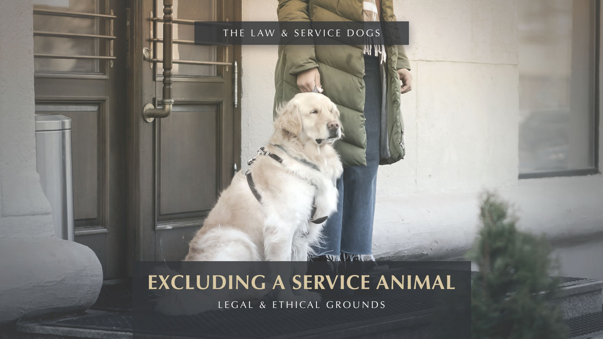 Excluding a Service Animal - Service Dog and Handler