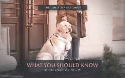 Service Dog Law and Your Rights