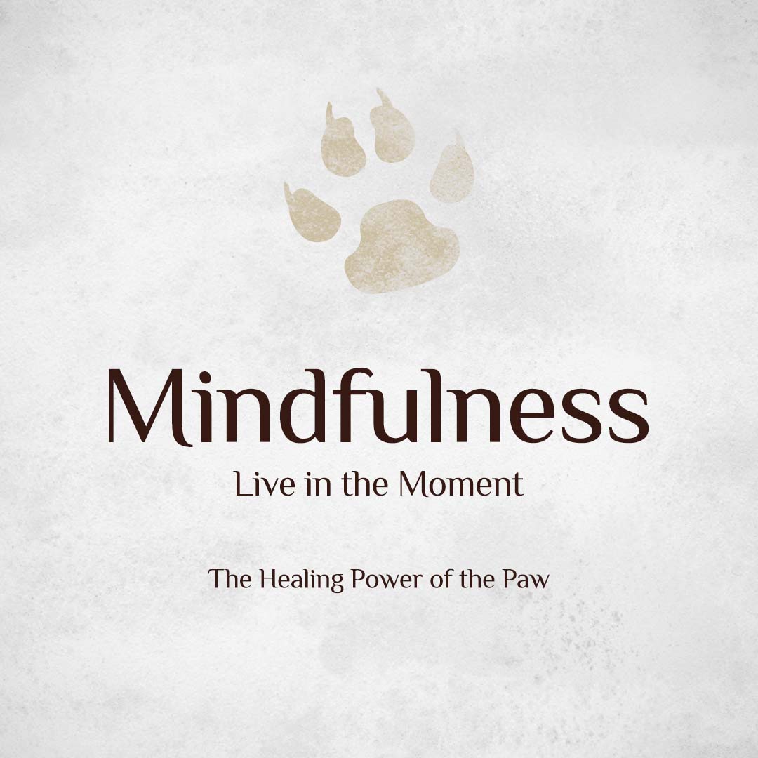 Mindfulness, Live in the Moment. The Healing Power of the Paw.