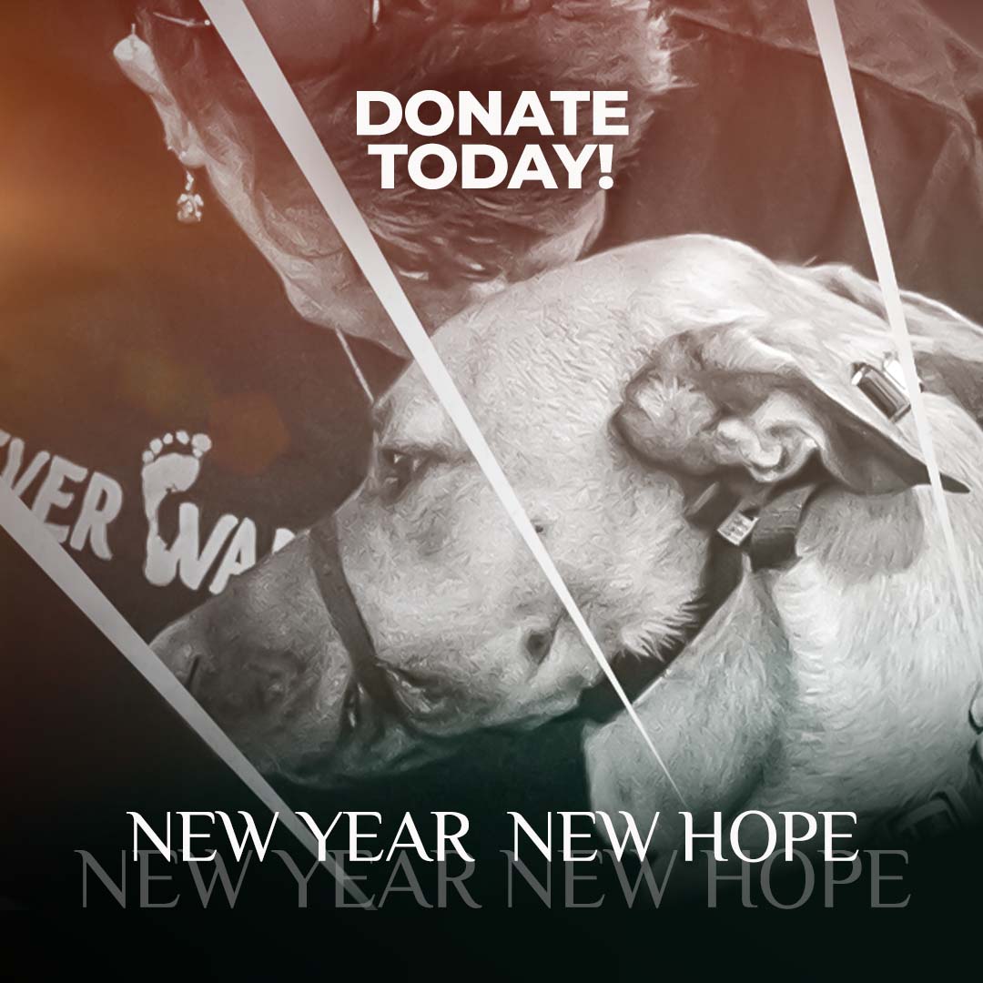 New Year New Hope Donate Today!