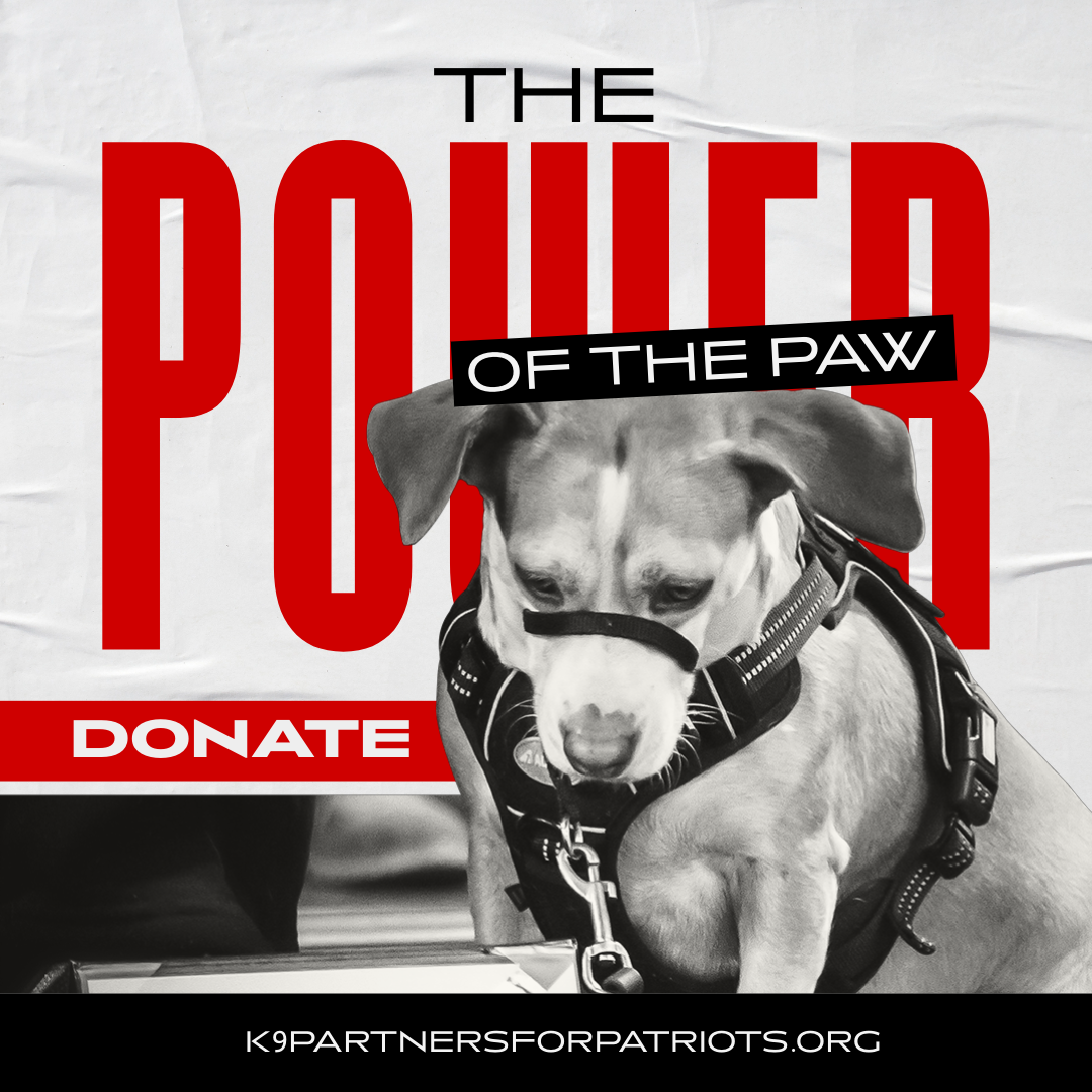 Donate Today! Power of the Paw