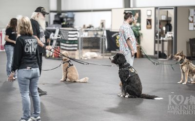 What is a Service Dog—and Who Qualifies?