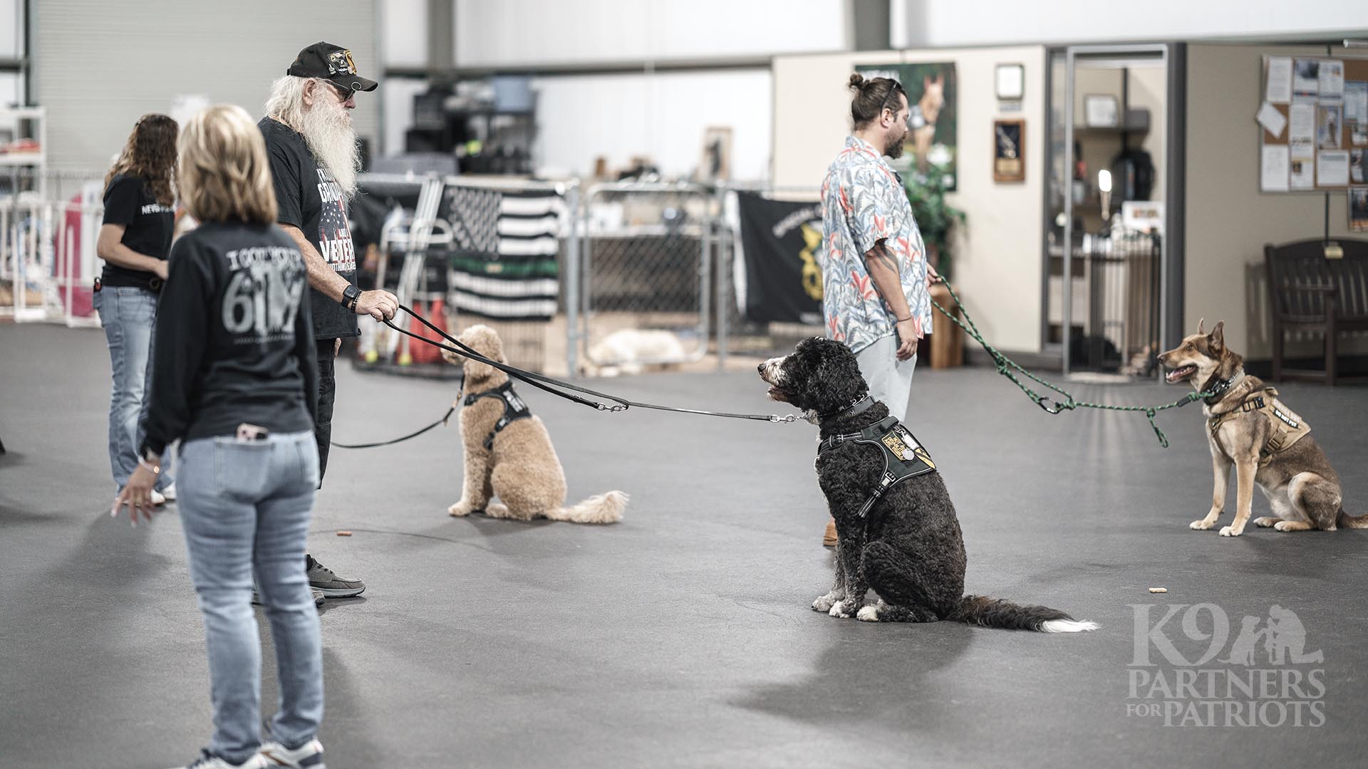 Service Dog Teams Training