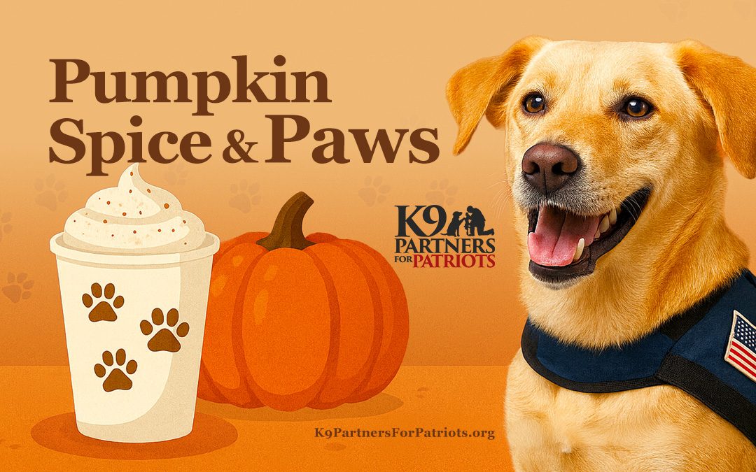 Pumpkin Spice & Paws – National Dog Day Fundraiser
