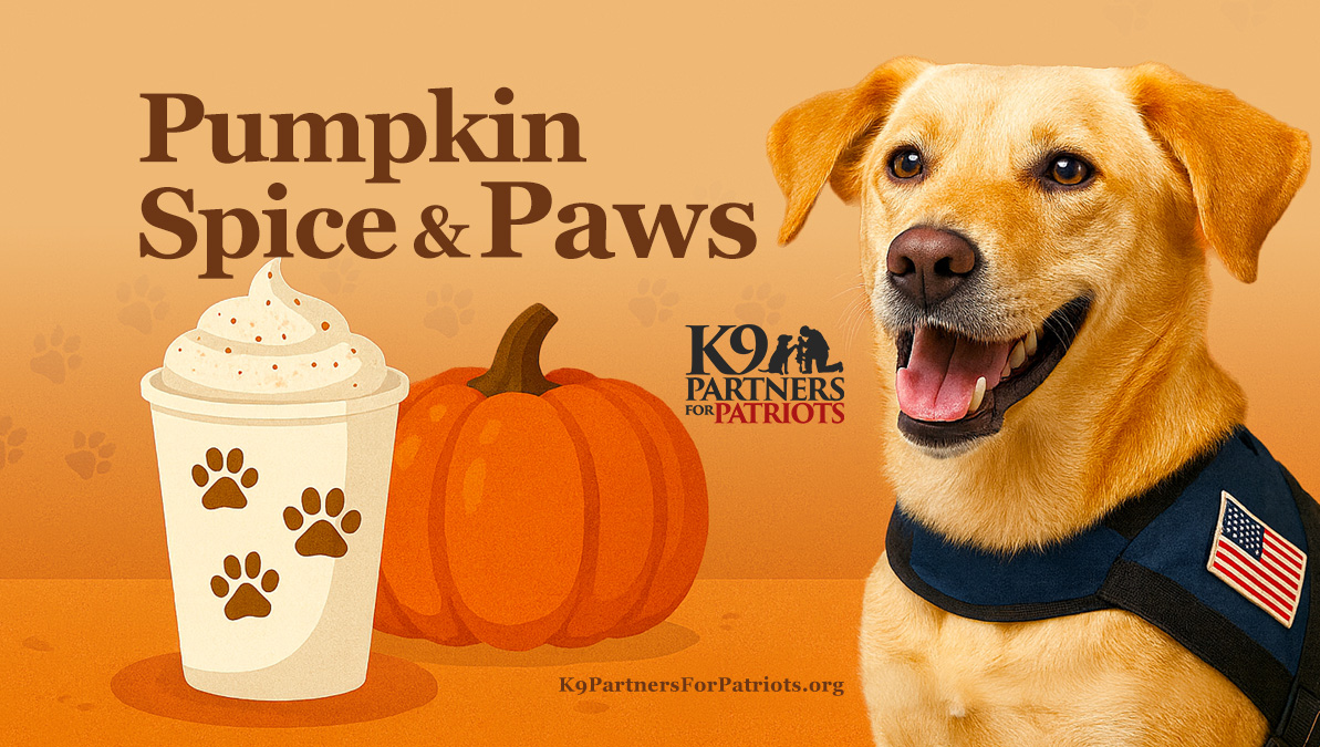 Pumpkin Spice & Paws Fundraiser