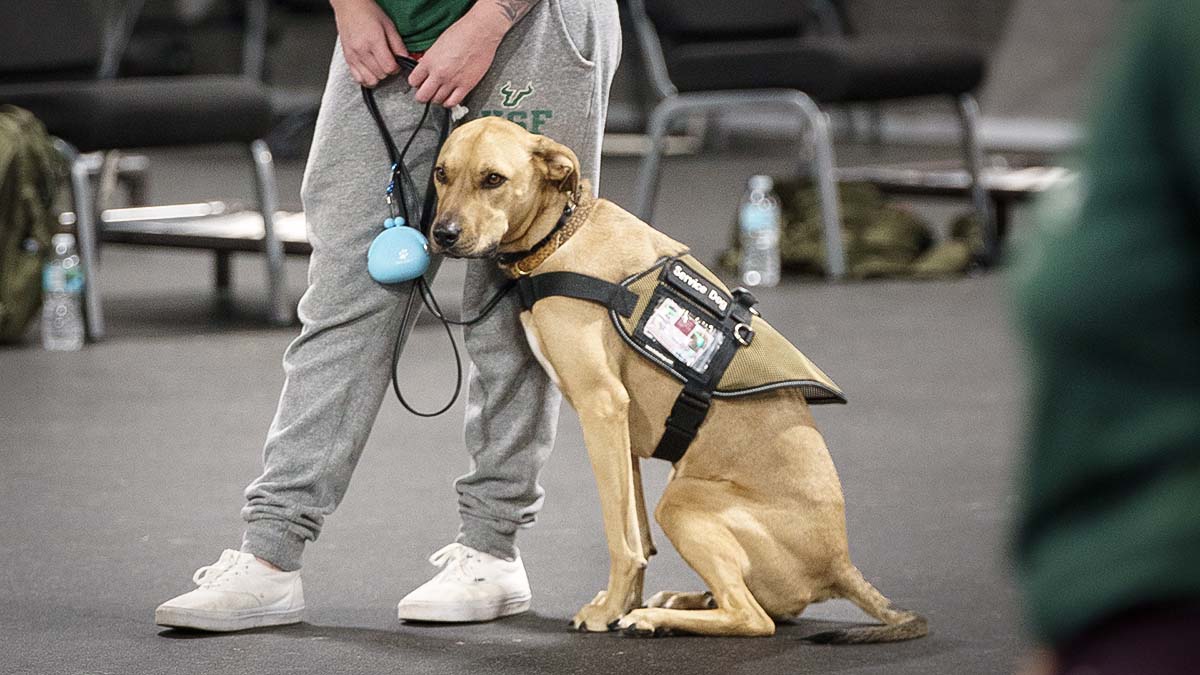 Olivia and her service dog in service dog vest.
