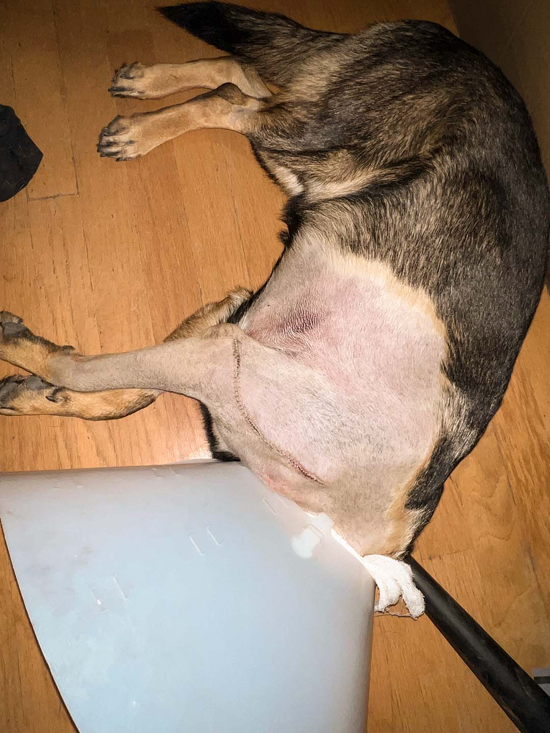 Manny Recovering from His Injuries