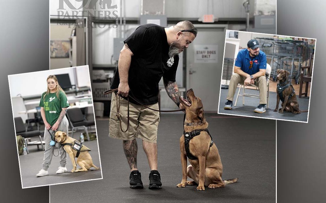 How Service Dogs Help Veterans Manage PTSD Symptoms