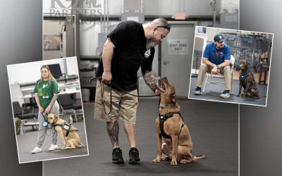 How Service Dogs Help Veterans Manage PTSD Symptoms
