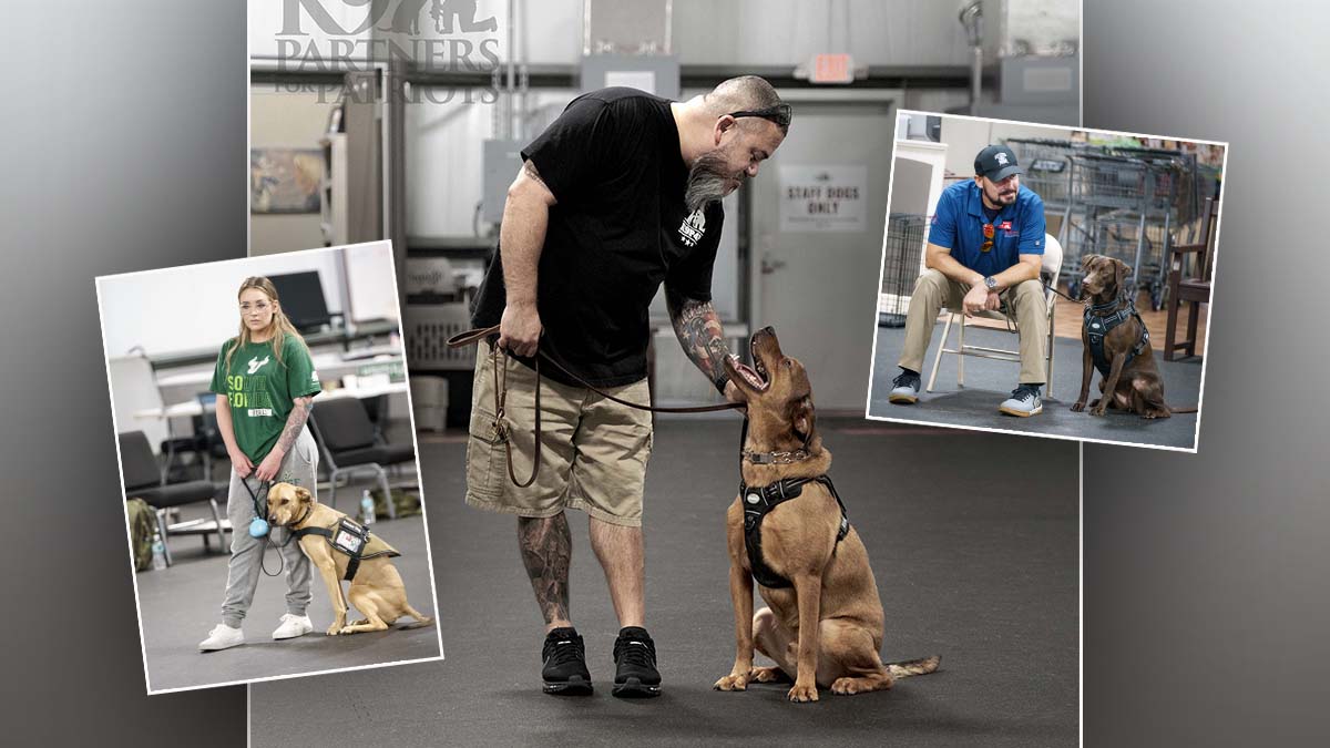 Service Dogs Manage PTSD Symptoms
