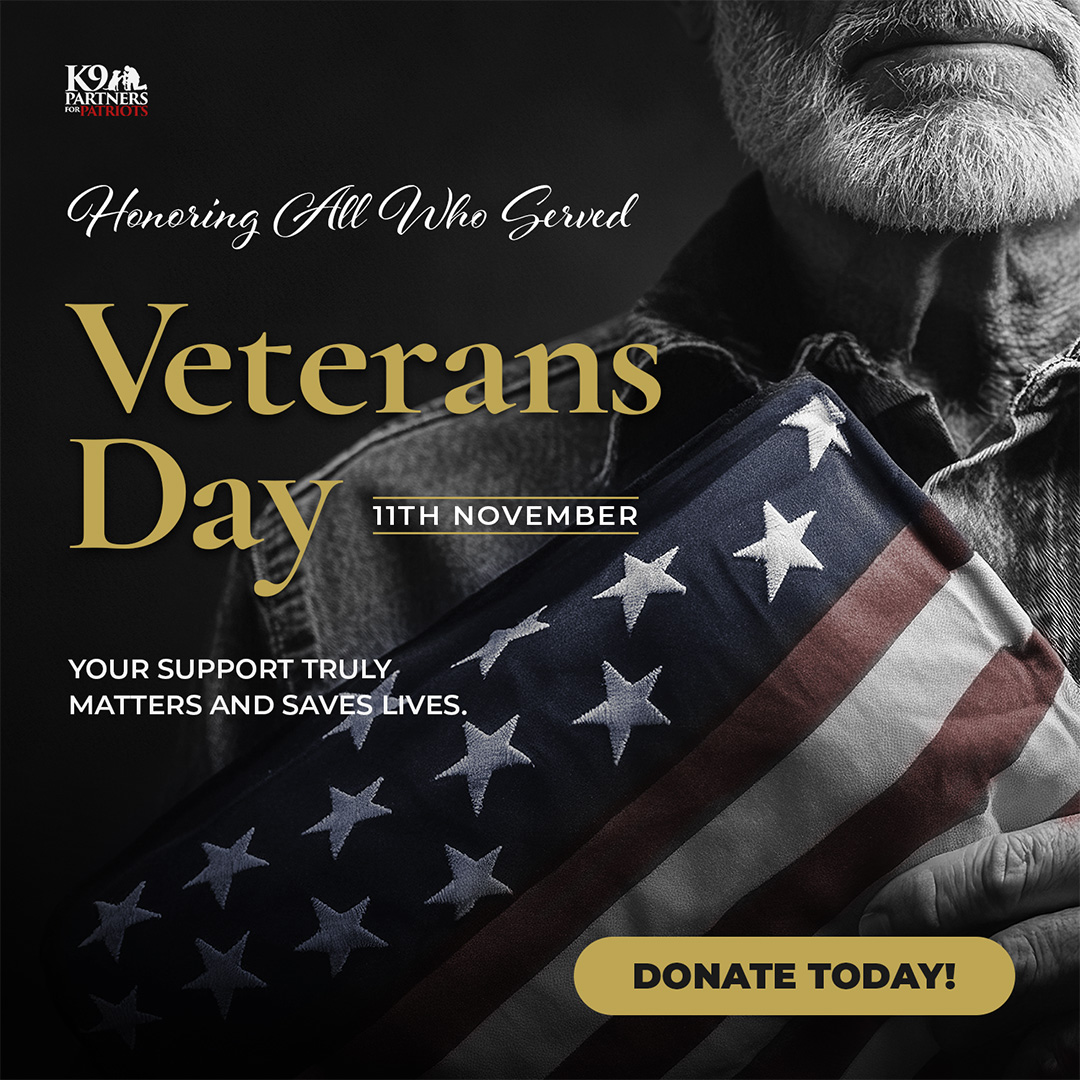 Veteran's Day Honoring All Who Served - November 11